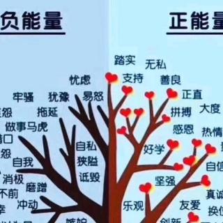 穷养富养，不如陪孩子一起成长