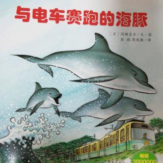 与电车赛跑的海豚🐬