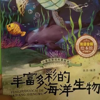 《丰富多彩的海洋生物》