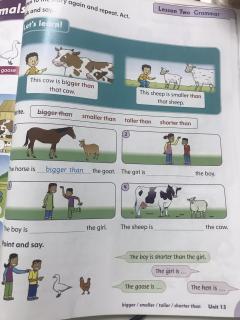 📕Unit 13-Look at all the animals!Lesson 2【Fiona详细讲解】