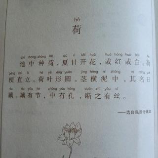 小古文4《荷》