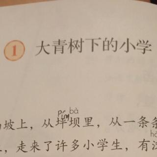 张岳欣朗读课文1《大青树下的小学》2019.9.2晚