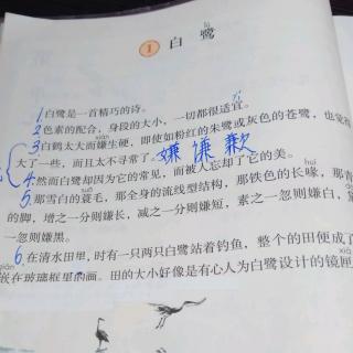 《白鹭》