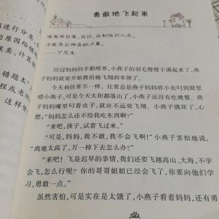 勇敢的飞起来