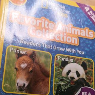 favorite animals collection(pony)9.3