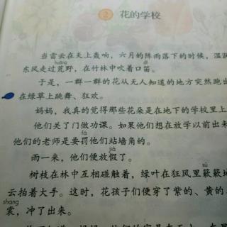 2.花的学校