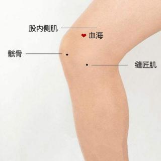 杨泽计：女人艾灸，为什么每次都要灸腿？