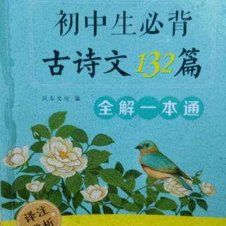 行路难（其一）——李白