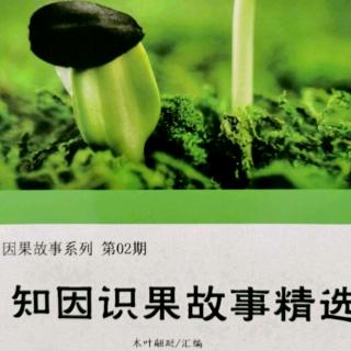 《知因识果故事精选》故事156：活割牛舌的恶报