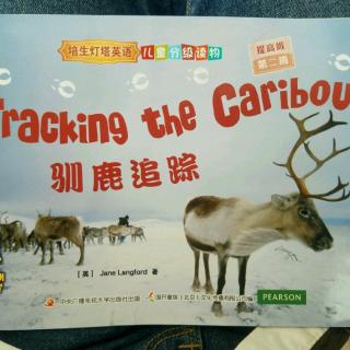 Words of Tracking the Caribou