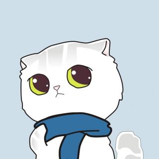 越南 十二生肖里有猫的国家