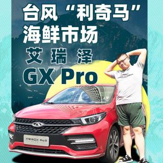 真不是为了吃海鲜！就想开艾瑞泽GX Pro顶风冒雨去海边｜萝卜报告