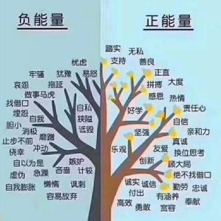 《心理营养》8.父亲养育