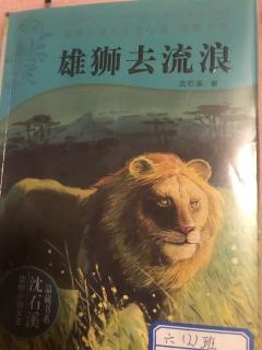 张墨涵读《雄狮去流浪》8分钟