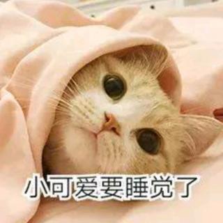 李春燕英语百日诵读张思媛第188天