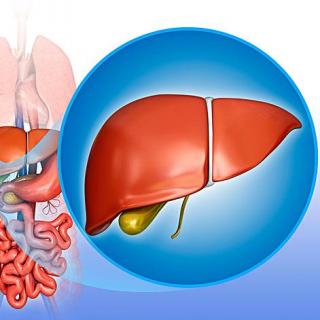 保肝护肝刻不容缓