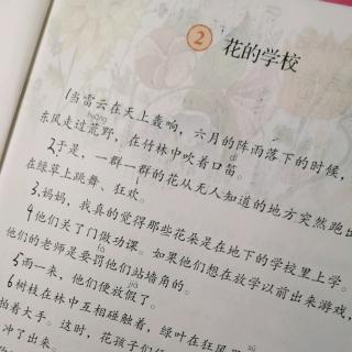 预习《花的学校》