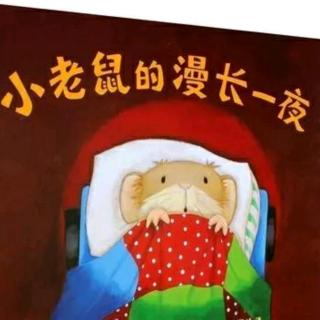 卡蒙加幼教集团-孙老师《小老鼠的漫长一夜》