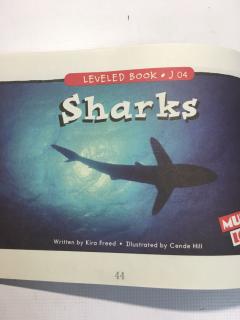 【Simon 与英语阅读】第188天Sharks