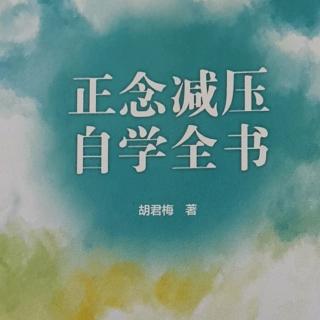 正念减压自学全书