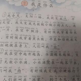 我是什么