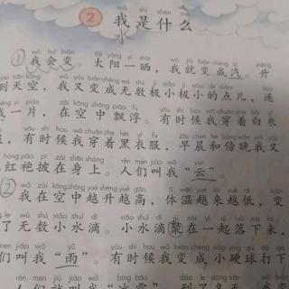 我是什么