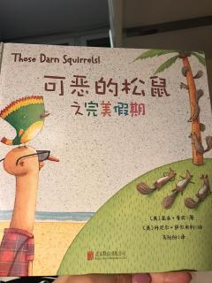 可恶的松鼠🐿️之完美假期