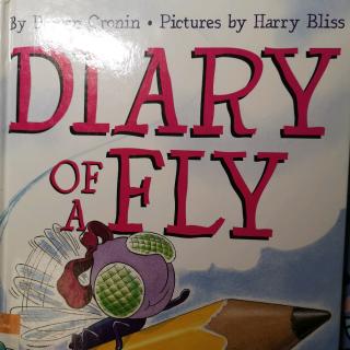 20190904《diary of a fly》