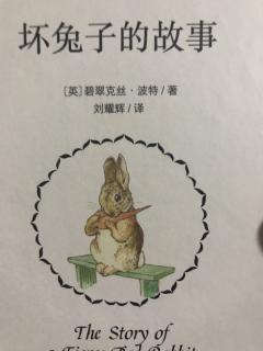 亲子阅读第478天：彼得兔的故事