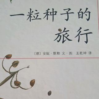 《一粒种子的旅行》下