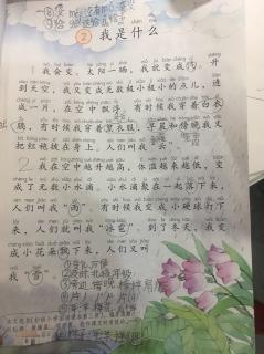 我是什么