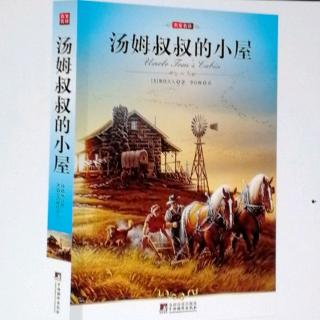 《汤姆叔叔的小屋》第八章