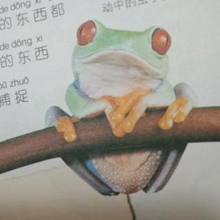 跳跃高手——青蛙