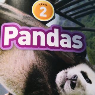 panda（p4-p33）9.5