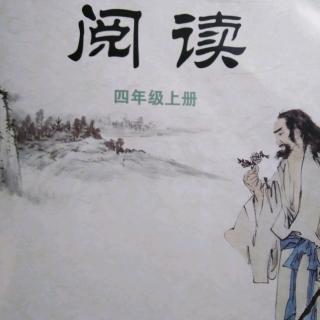 教师节的康乃馨