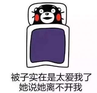 丁香结