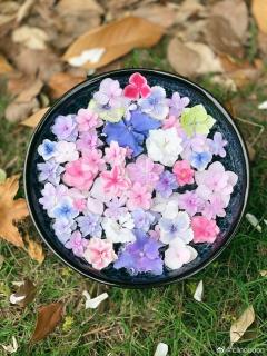 昨日如死 第36章