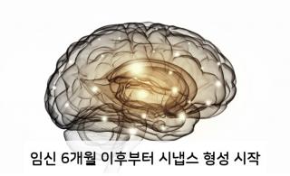 뇌 적기 교육3