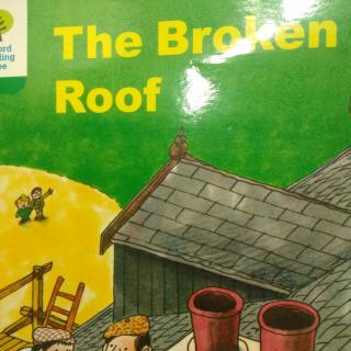 The broken roof