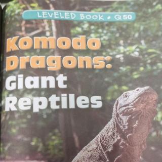 江尚玥-0905-Komodo Dragons:Giant Reptiles-Q