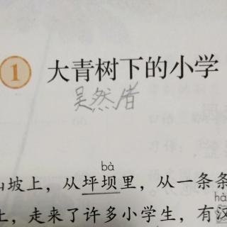 1大青树下的小学