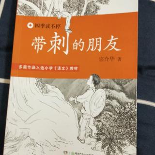 三，带刺的朋友