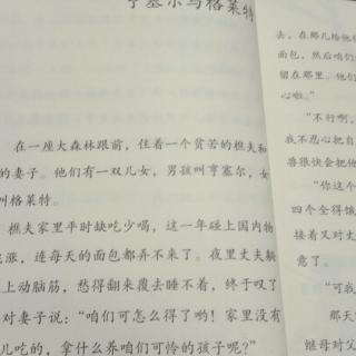 亨塞尔与格莱特