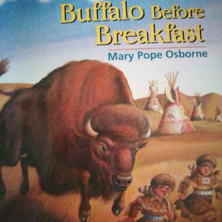 Buffalo Before Breakfast(2)