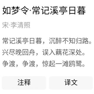 《如梦令 常记溪亭日暮》宋.李清照