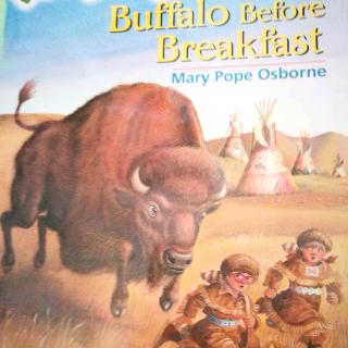 Buffalo Before Breakfast(5)