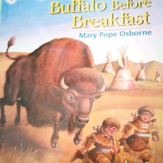 Buffalo Before Breakfast(4)
