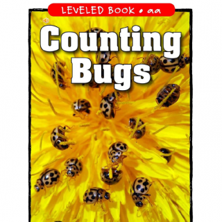 Counting Bugs