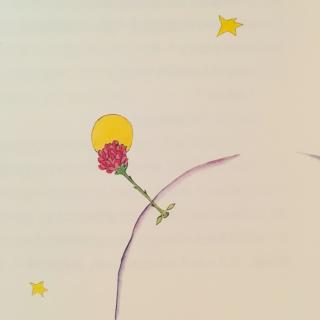 Chapter 07 如果一个人爱上一朵花