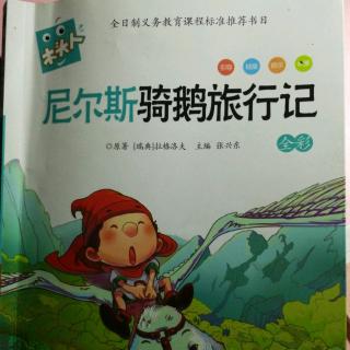 《尼尔斯骑鹅旅行记》～尼尔斯受伤了